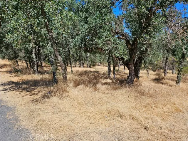 Clearlake, CA 95422,15676 34th Avenue