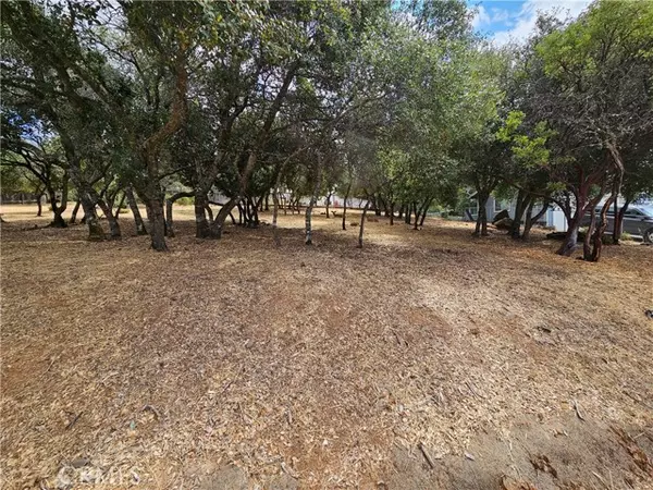 Kelseyville, CA 95451,9717 Mount Hood Way