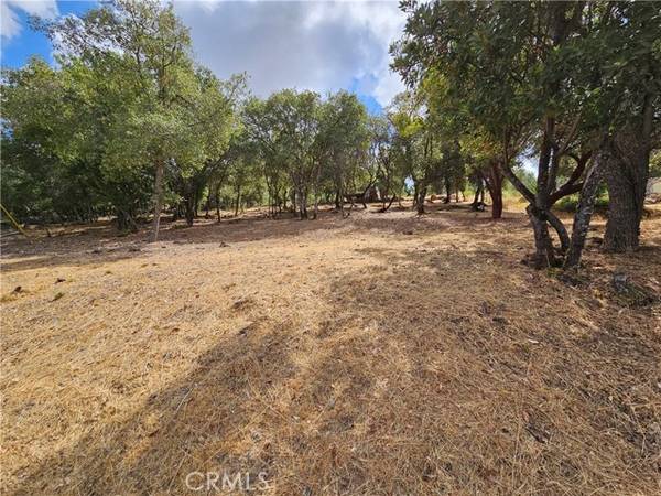 9599 Timberline Court, Kelseyville, CA 95451