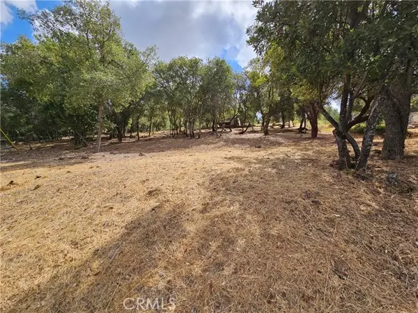 9599 Timberline Court, Kelseyville, CA 95451