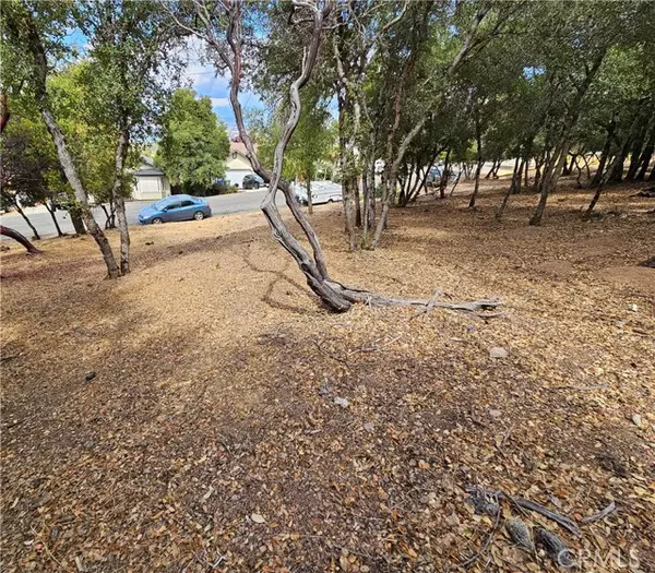 Kelseyville, CA 95451,9599 Timberline Court