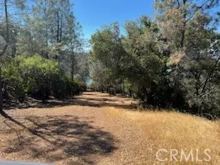 Clearlake Oaks, CA 95423,48 Sandalwood Court