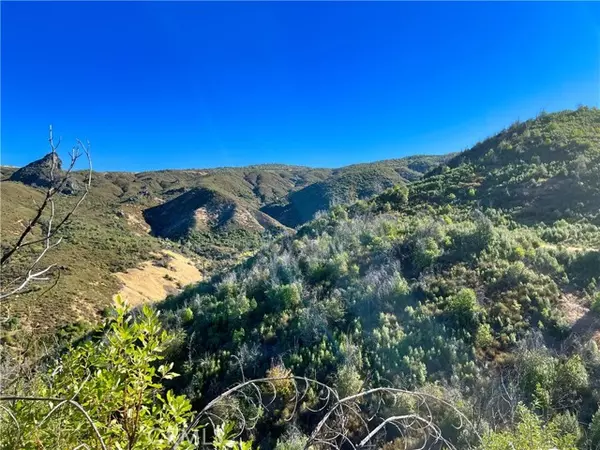 Upper Lake/ Upper Lake Valley, CA 95485,11634 Pitney Ridge Road