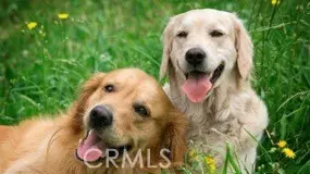 Lakeport, CA 95453,2945 Reeves Lane