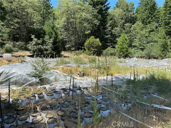 Upper Lake/ Upper Lake Valley, CA 95485,26897 Bear Creek Road