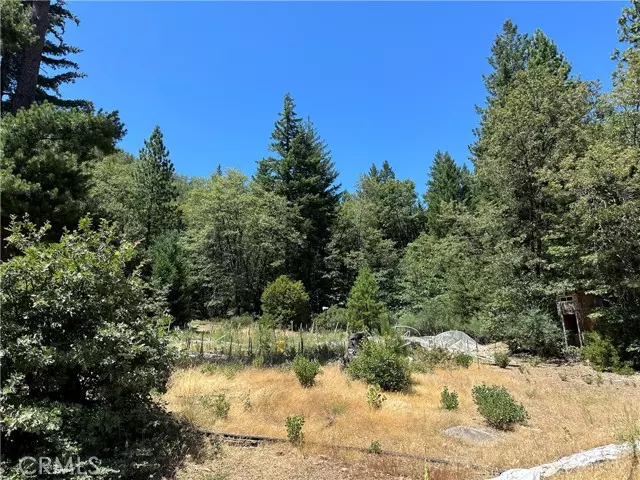 Upper Lake/ Upper Lake Valley, CA 95485,26835 Bear Creek Road