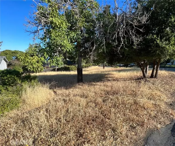 Kelseyville, CA 95451,7190 Riviera Heights