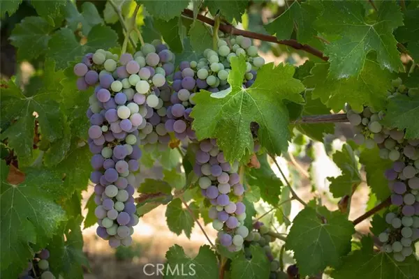 Lakeport, CA 95453,5615 Highland Springs Road