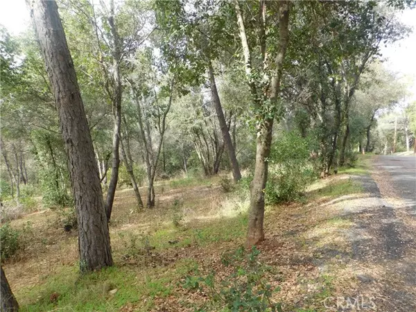 Clearlake, CA 95422,5834 Spruce Avenue