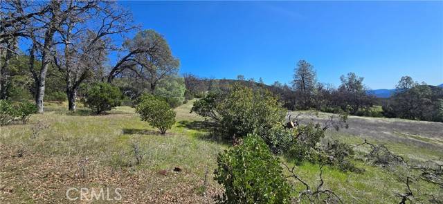 Clearlake Oaks, CA 95423,21762 Ramrod Lane