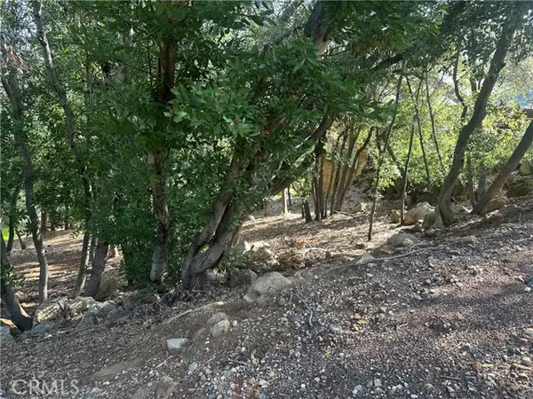Kelseyville, CA 95451,3470 Shoreline View Way