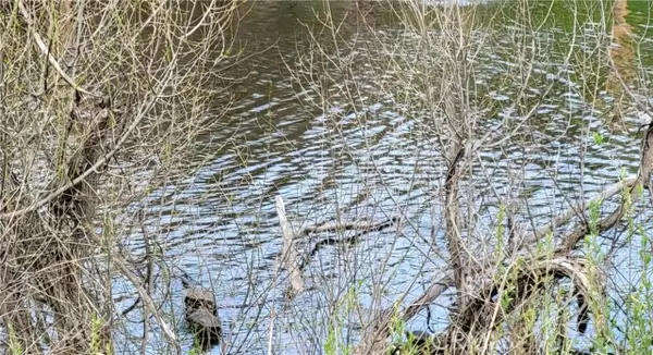 Clearlake Oaks, CA 95423,13488 Marina Village