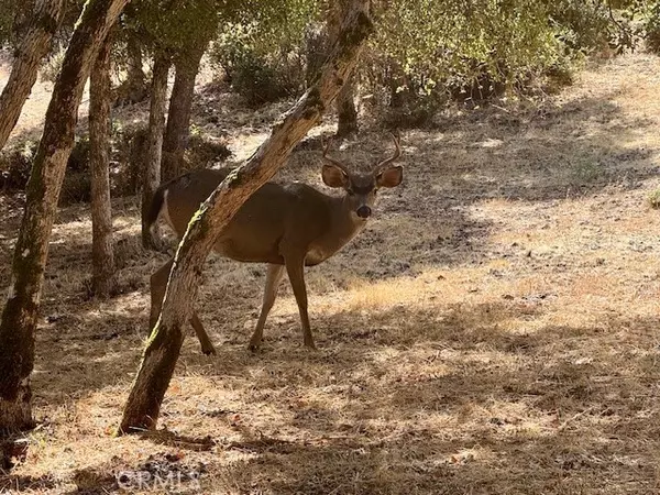 10789 Harbor Road, Kelseyville, CA 95451