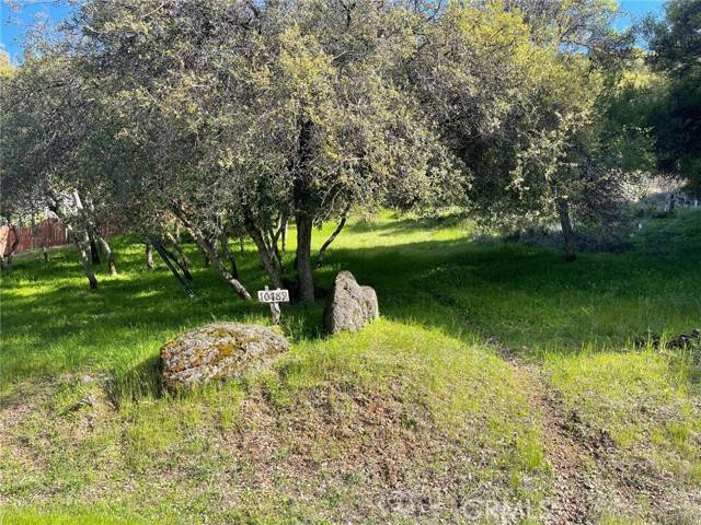 Kelseyville, CA 95451,10789 Harbor Road