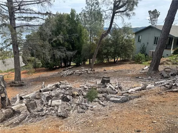 Kelseyville, CA 95451,3524 Idlewood Drive