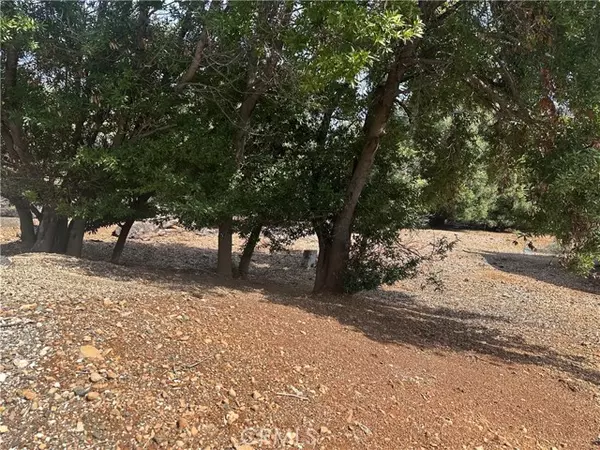 Kelseyville, CA 95451,8146 Broadview Drive