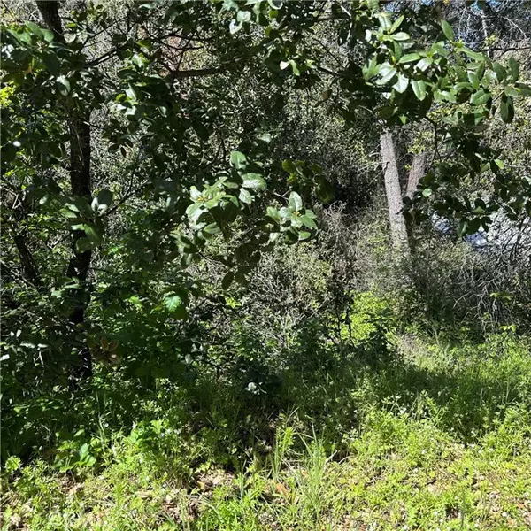 6972 Floyd Way, Nice, CA 95464