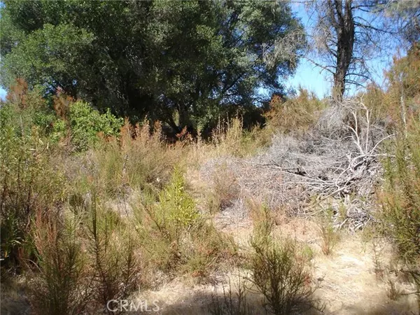 Clearlake, CA 95422,16344 4th Avenue