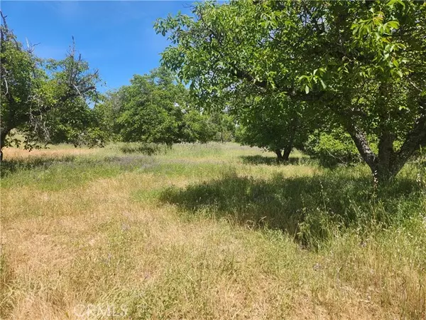 Lakeport, CA 95453,6755 Highland Springs Road