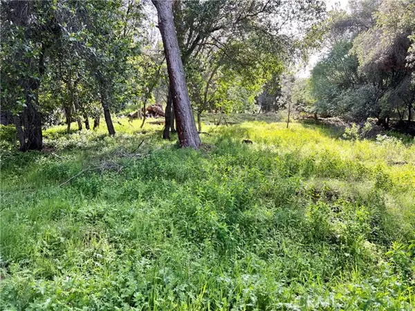 Kelseyville, CA 95451,3356 Southlake Court