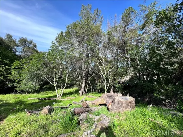 Kelseyville, CA 95451,3356 Southlake Court