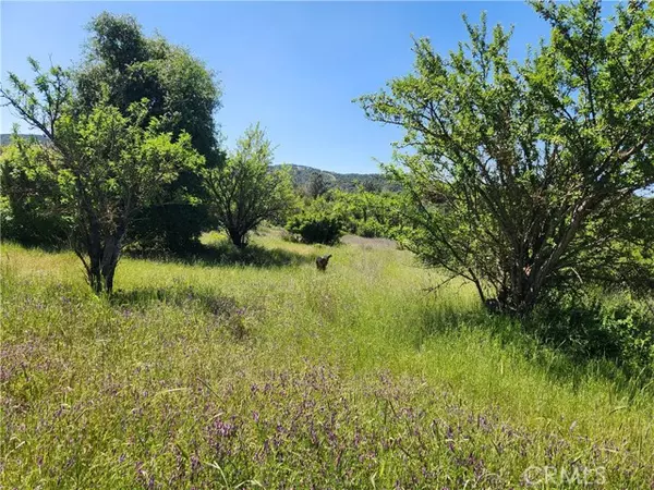 Clearlake Oaks, CA 95423,14241 Mcbride Court