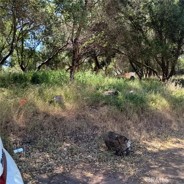 Clearlake, CA 95422,3519 Covelo Street