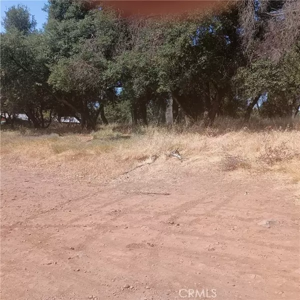 Clearlake, CA 95422,3519 Covelo Street