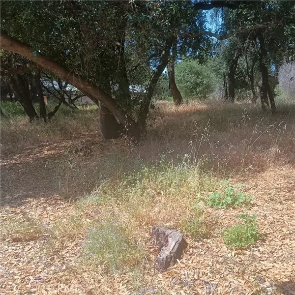 Clearlake, CA 95422,3519 Covelo Street