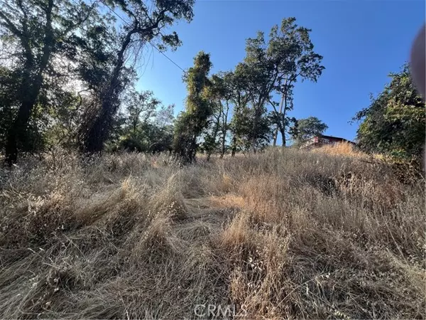 Clearlake, CA 95422,11030 Pioneer Dr