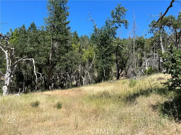 20925 Mid Mountain (17N17 USFS) Road, Upper Lake/ Upper Lake Valley, CA 95469