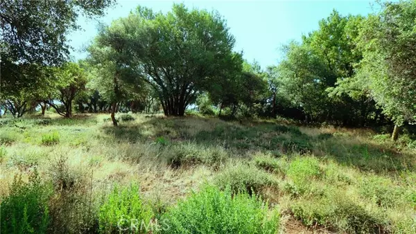 Kelseyville, CA 95451,9523 Tenaya Way