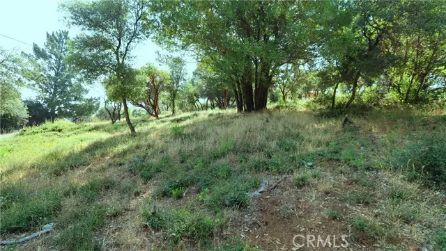 Kelseyville, CA 95451,9523 Tenaya Way