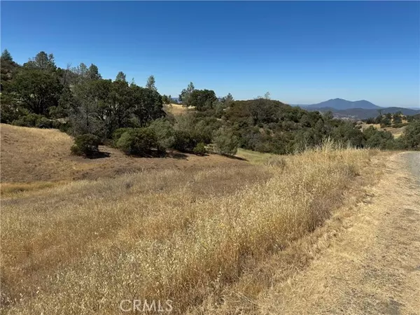 Clearlake Oaks, CA 95423,22017 No Guns Road