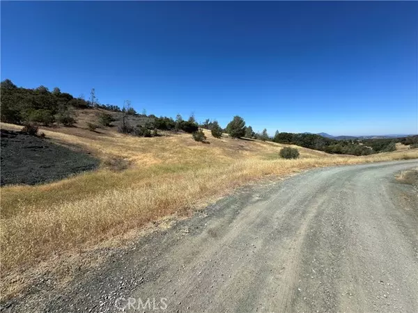 Clearlake Oaks, CA 95423,22017 No Guns Road