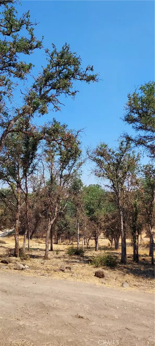 Clearlake, CA 95422,16034 13th Avenue