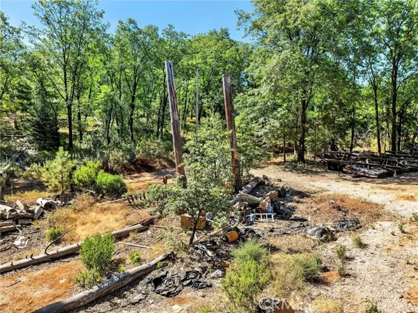 Kelseyville, CA 95451,10182 Diener Drive