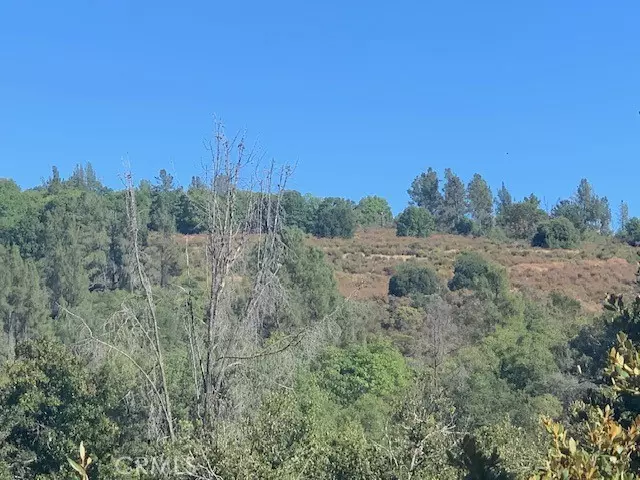 Kelseyville, CA 95451,9510 Bottle Rock Road