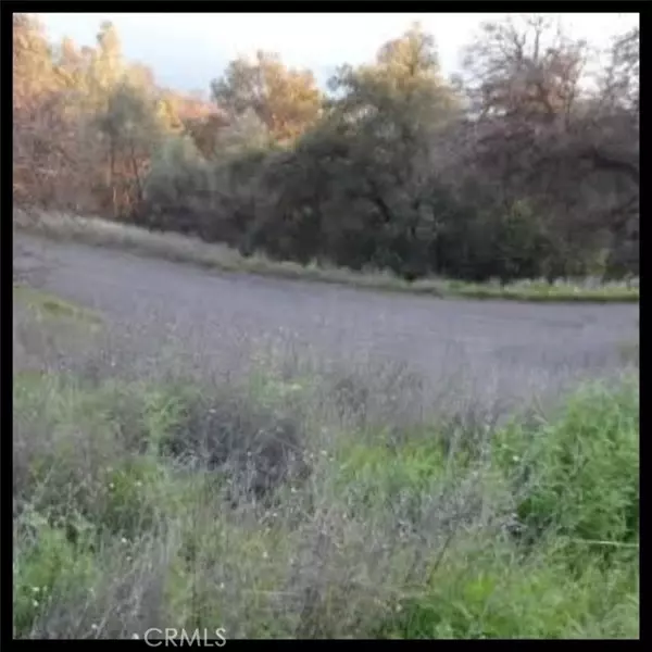 Clearlake Oaks, CA 95423,11860 Lakeview Drive