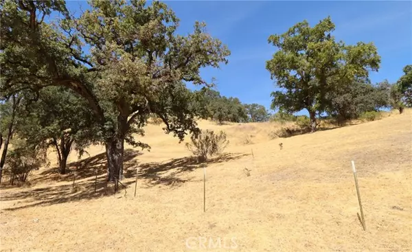 Lakeport, CA 95453,620 Park Way