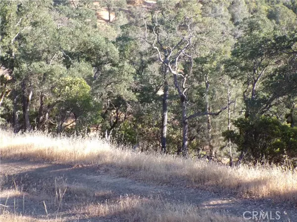 Clearlake, CA 95424,10977 Crestview Drive