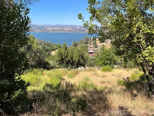 Kelseyville, CA 95451,10009 Point Lakeview Road