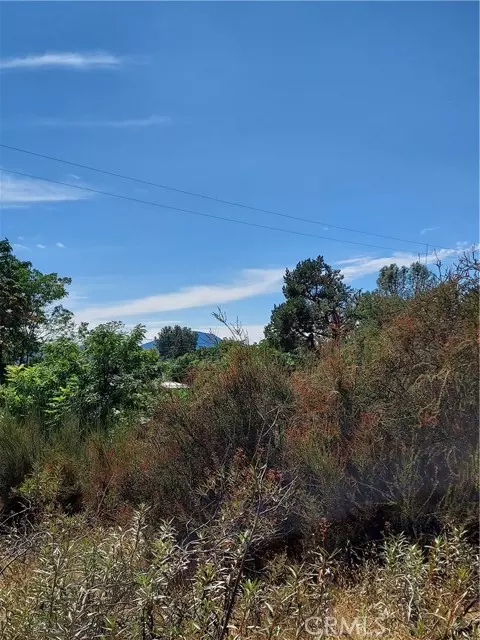 Clearlake, CA 95422,16301 11th Avenue