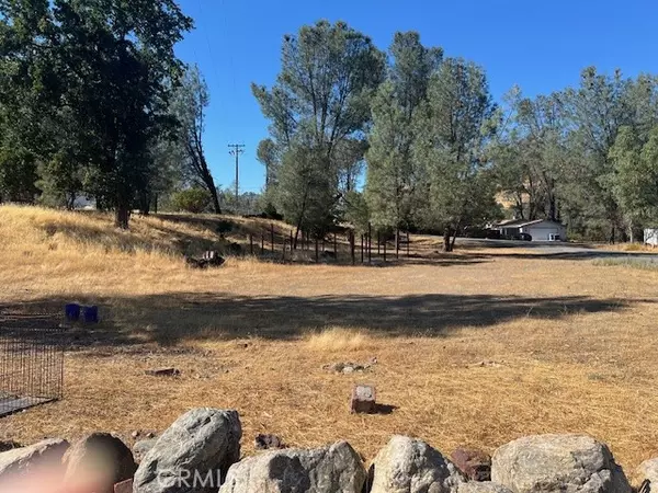Clearlake Oaks, CA 95423,2928 Meadow Creek Road