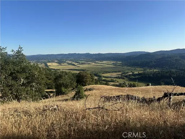 Willits, CA 95490,25996 String Creek Road