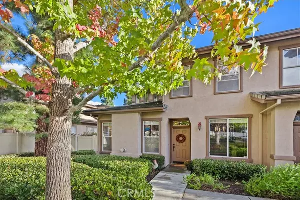 Aliso Viejo, CA 92656,38 Red Bud