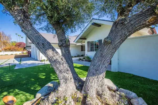 San Juan Capistrano, CA 92675,32052 Via Alicia