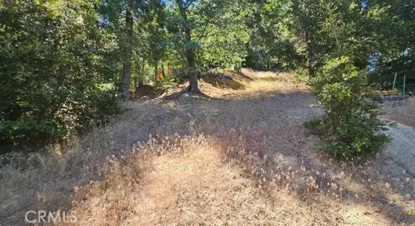 Crestline, CA 92325,25126 Jewel Drive