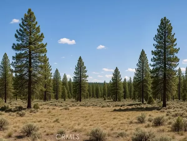 0 California Pines Blvd, Alturas, CA 96101