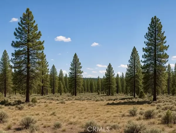 Alturas, CA 96101,0 California Pines Blvd